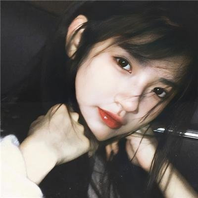 Gon的旱獭第一季