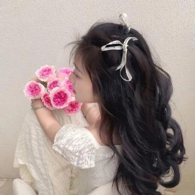 桃花扇传奇